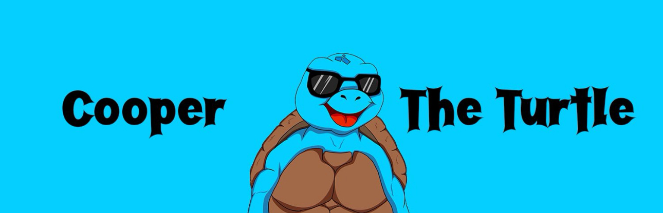 Cooper The Turtle – A Crypto Project